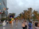 IMG20241102170631
