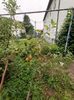 Img.2024.06.29