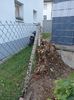 Img.2024.08.31-alunul