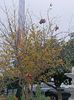 Img.2024.10.30