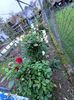 Img.2024.10.31