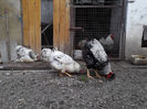 ‎duminică, ‎31 ‎martie ‎2024, ‏‎18:26:06