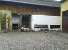 ‎miercuri, ‎3 ‎aprilie ‎2024, ‏‎18:04:18