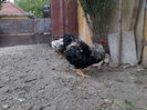 ‎duminică, ‎21 ‎aprilie ‎2024, ‏‎18:16:02