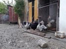 ‎duminică, ‎21 ‎aprilie ‎2024, ‏‎18:52:53