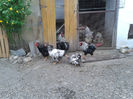 ‎duminică, ‎21 ‎aprilie ‎2024, ‏‎18:58:24