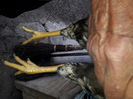 ‎luni, ‎22 ‎aprilie ‎2024, ‏‎18:43:36