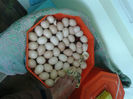 ‎duminică, ‎21 ‎aprilie ‎2024, ‏‎15:16:06