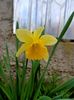 Img.2024.04.05