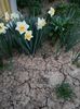 Img.2024.03.31