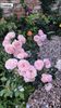 50488bb2-d7e2-44f0-b18a-b7a187fad033