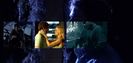 Dexter, created by James Manos Jr., 5★.　　　Dexter Morgan, a forensic blood spatter analyst