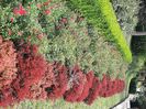dc568af0-7d98-4b14-85ef-005cec530801-1_all_1792