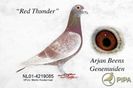 1aabeensred_thunder