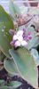 IMG-20241017-WA0008