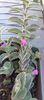 IMG-20241017-WA0009