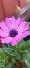 IMG-20241017-WA0011