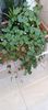 IMG-20241017-WA0016