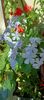IMG-20241017-WA0019