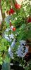 IMG-20241017-WA0020