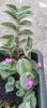 IMG-20241008-WA0003