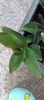 IMG-20241008-WA0005