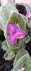 IMG-20241008-WA0000