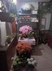 Img.2024.11.08