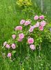 WhatsApp Image 2024-05-11 at 19.57.15 (2)