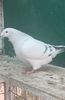 IMG-20241214-WA0026
