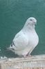IMG-20241214-WA0011