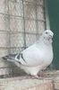 IMG-20241214-WA0013