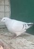 IMG-20241214-WA0000