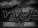 Any Old Port