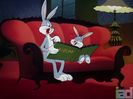 His Hare Raising Tale