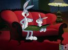 His Hare Raising Tale