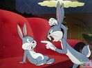 His Hare Raising Tale