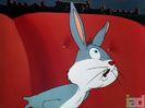 His Hare Raising Tale