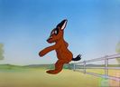 Fox Pop