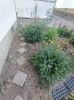 Img.2024.05.11
