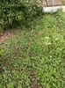 Img.2024.06.22
