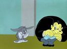 Hare Conditioned