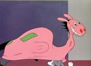 Hare Conditioned