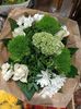IMG20240904155350