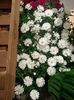 IMG20240905150445