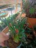 IMG20240906105106