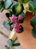 IMG20241020164750