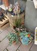 IMG20241020164804