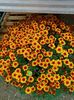 IMG20241020164938