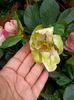 IMG20241020165105